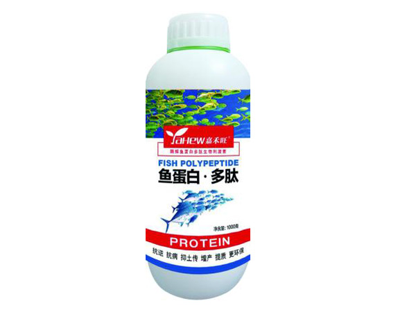 鱼蛋白多肽